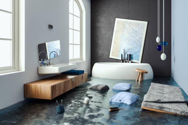 Best Carpet water damage restoration  in Albers, IL