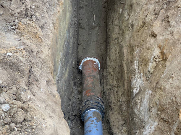 Best Flood restoration services  in Albers, IL