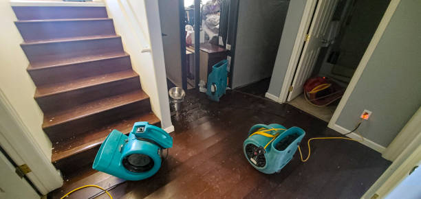 Best Basement water damage restoration  in Albers, IL