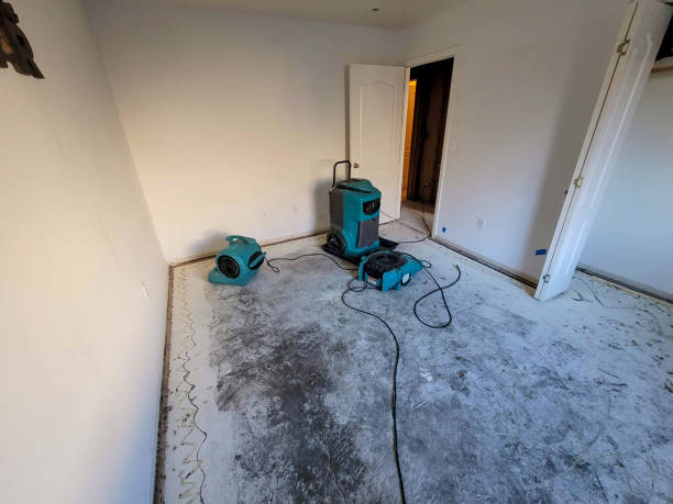 Best Emergency water damage restoration  in Albers, IL
