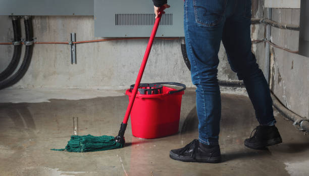 Best Commercial water damage restoration  in Albers, IL
