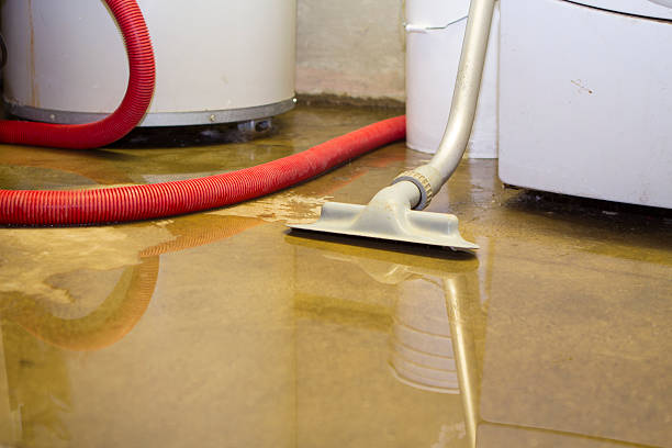 Best Residential water damage restoration  in Albers, IL