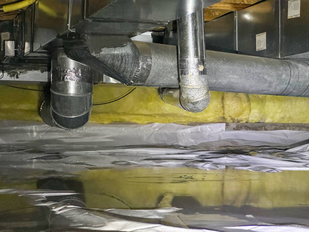 Best Water damage cleanup near me  in Albers, IL