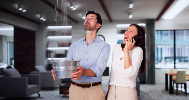 Best Water damage restoration company  in Albers, IL