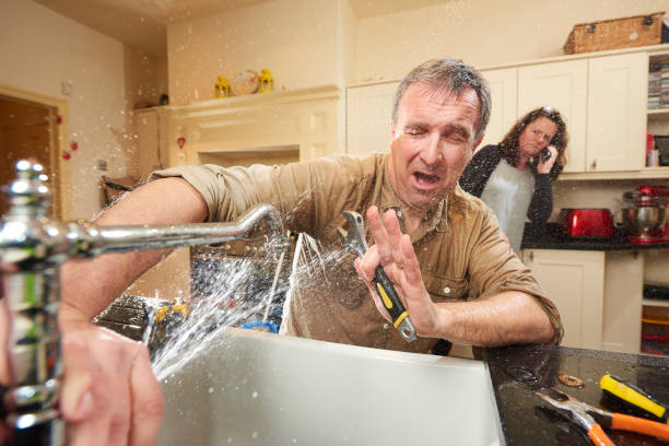 Best Mold removal after water damage  in Albers, IL